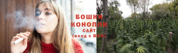 гидра Новочеркасск