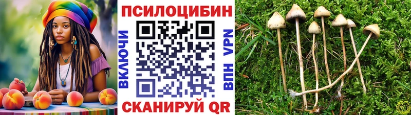 Псилоцибиновые грибы ЛСД  Туапсе 