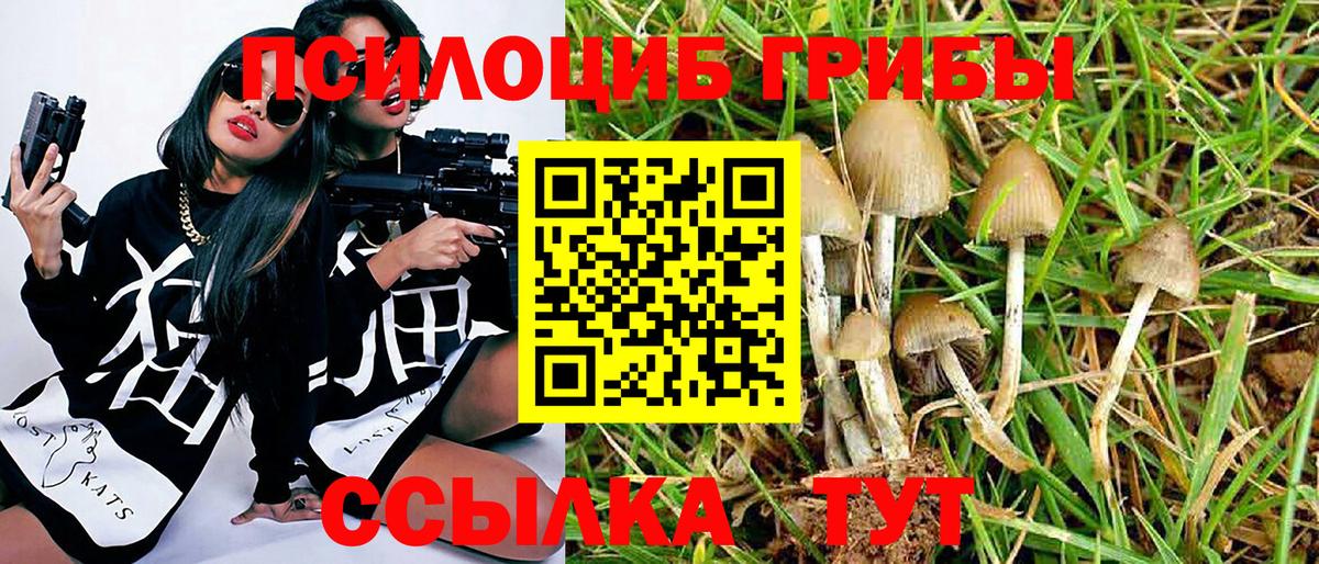 Псилоцибиновые грибы мухоморы Туапсе