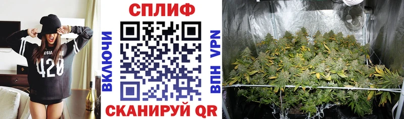 mega как зайти  Туапсе  Шишки марихуана SATIVA & INDICA 